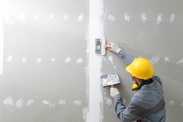 Mold Remediation for Rental Properties in Moulton, AL