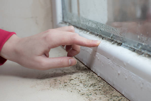 Best Biohazard Mold Removal  in Moulton, AL