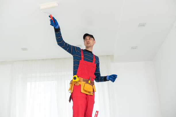 Best Attic Mold Removal  in Moulton, AL