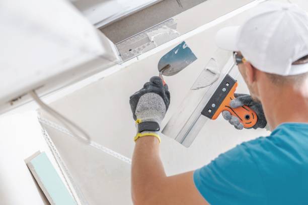 Best Crawl Space Mold Remediation  in Moulton, AL